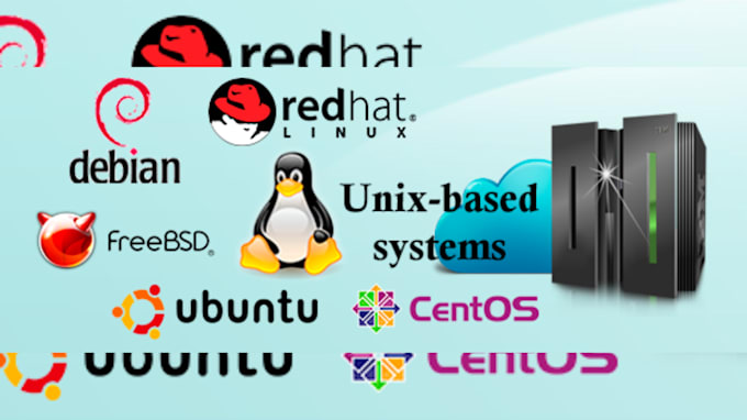 Help setup and manage your linux server by Kele4prince | Fiverr
