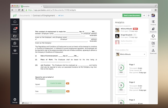 provide a professional panda doc template for your business