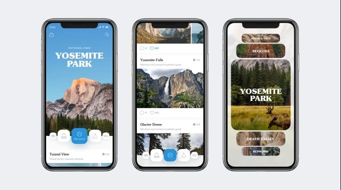 do android and IOS app development professionally