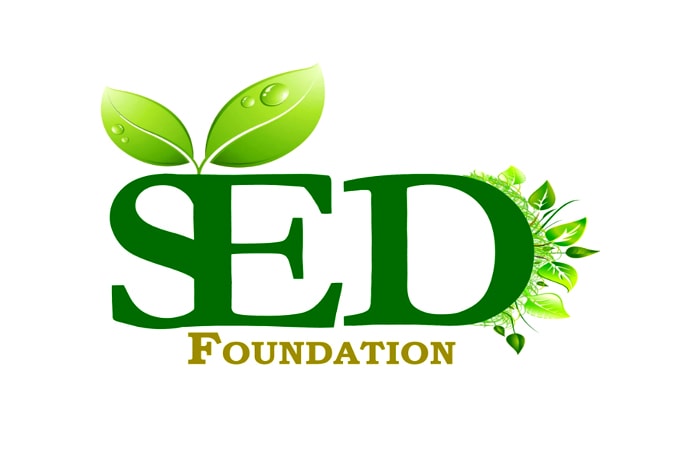 make modern environmental logo design with creative concepts