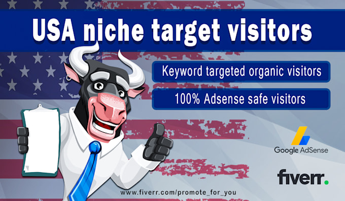 send USA niche targeted organic traffic from google