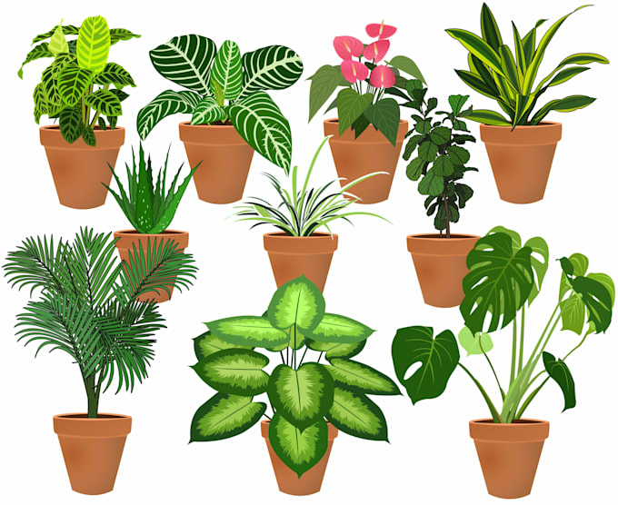 draw vector plants, fruits and vegetables illustration