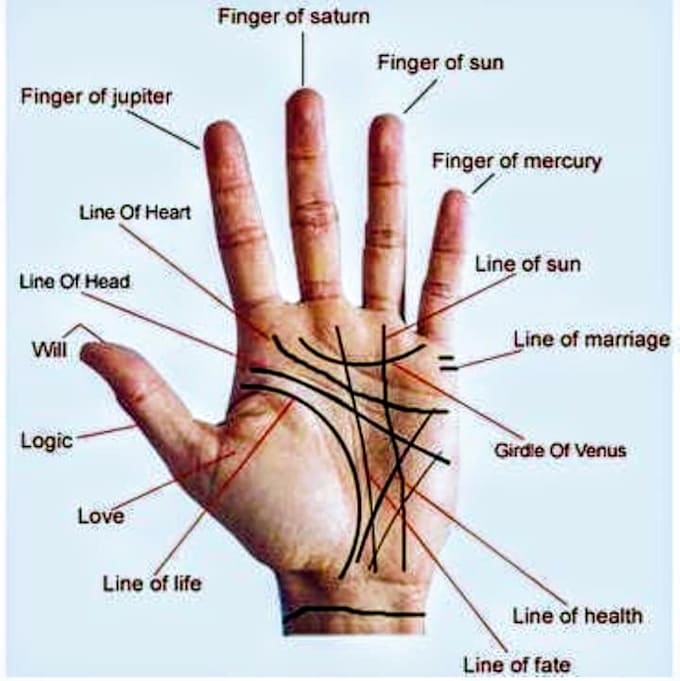 Do The Most Accurate Reading Of Your Palm By Teebamzaidi Fiverr