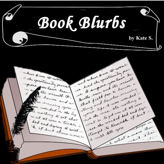 write an engaging book blurb for your book