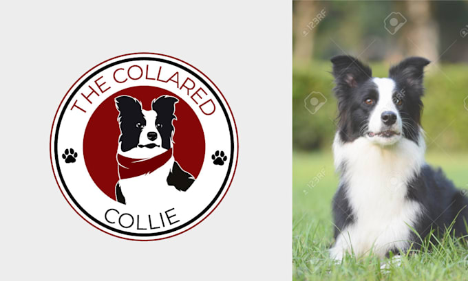 design pet logo for dog walking, cat business, pet sitting, vet doctor, or farm