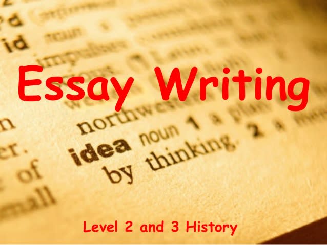 write professional essays for you