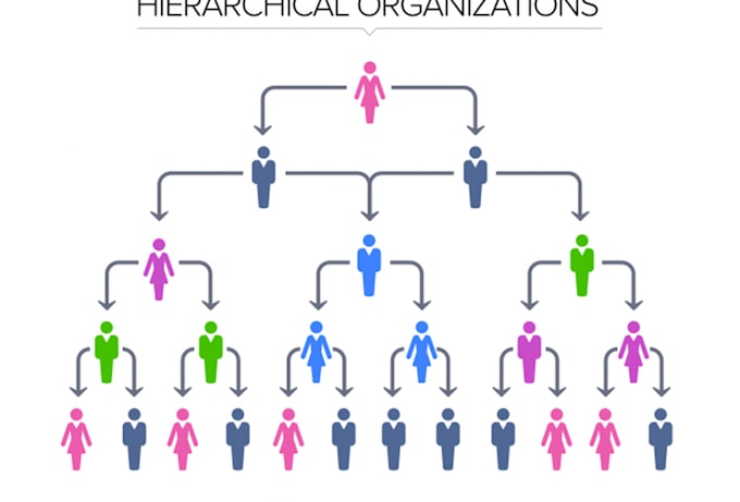 prepare organizational hierarchy chart
