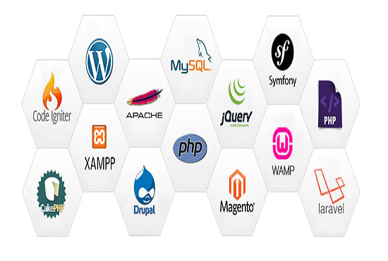 build wordpress laravel codeigniter drupal websites