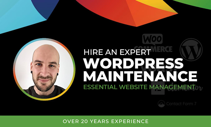 manage and maintain your wordpress website