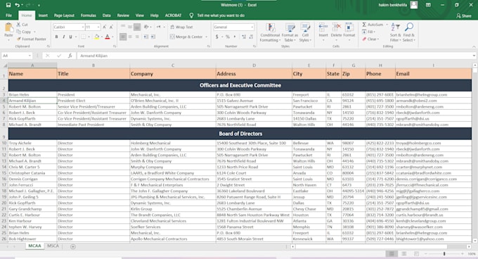 clean your excel data perfectly