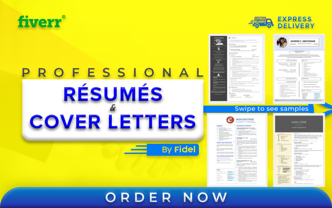 Provide A Professional Resume Writing Service By Fidelparker