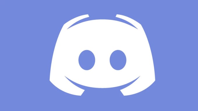 Create a custom professional discord bot for you by Diggy_ | Fiverr