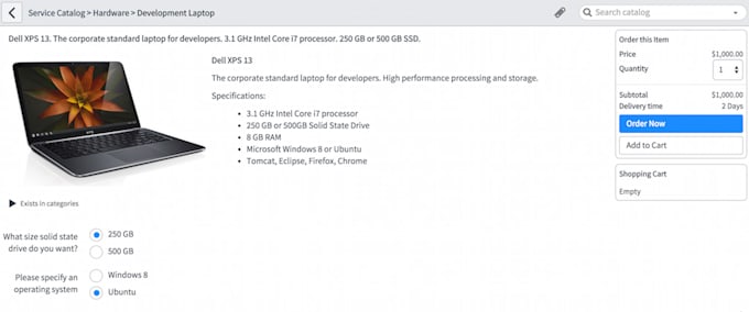 create record catalog item forms in servicenow platform