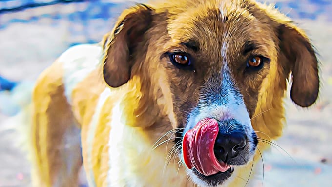 Do Custom Digital Oil Painting Of Your Pet By Rocadog