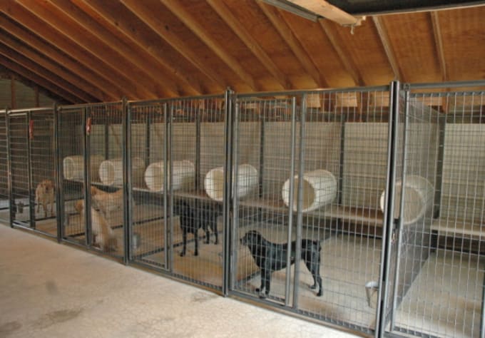 Get You Most Recent 1200 Kennels Dog Boarding Cat Boarding List