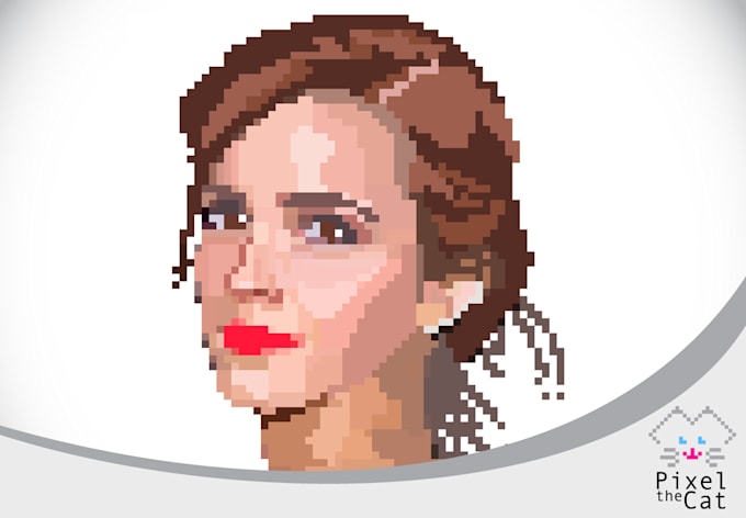 Draw An 8 Bit Portrait Videogame Style Character By Sergiore