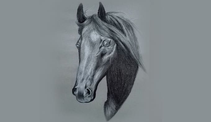 Draw Any Realistic Pencil Sketch Drawing For Your Walls By