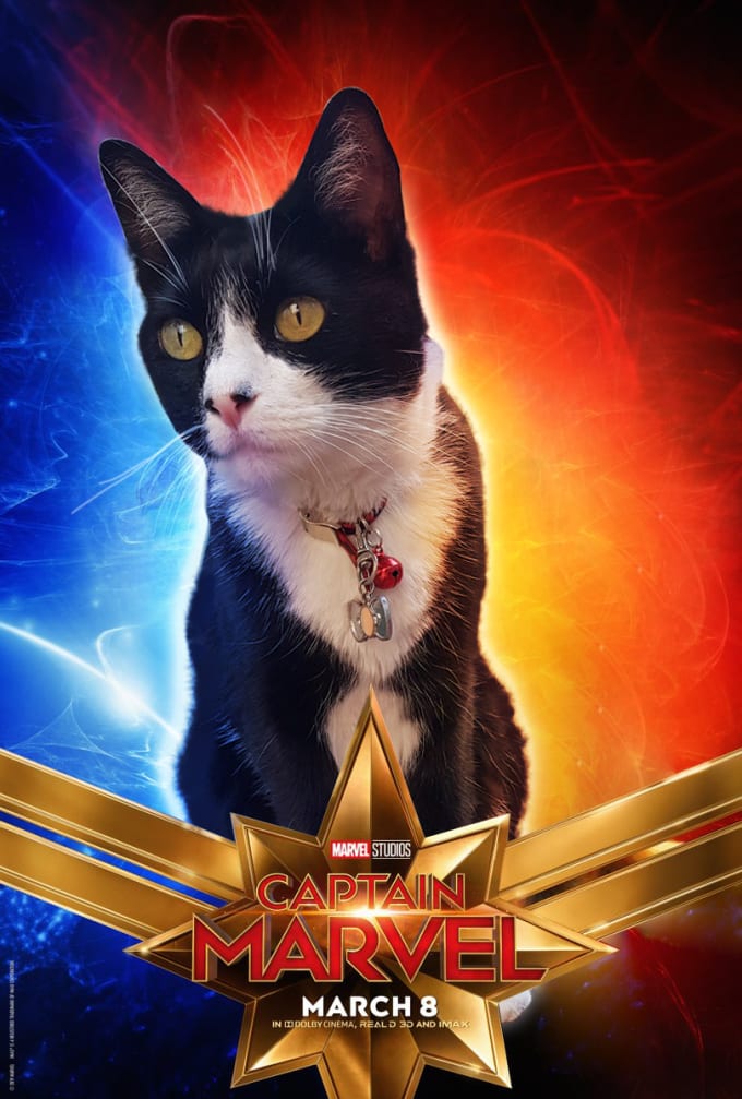 Make Your Cat Look Like Goose By Alfoon