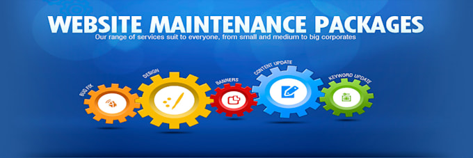 do ecommerce website maintenance and update