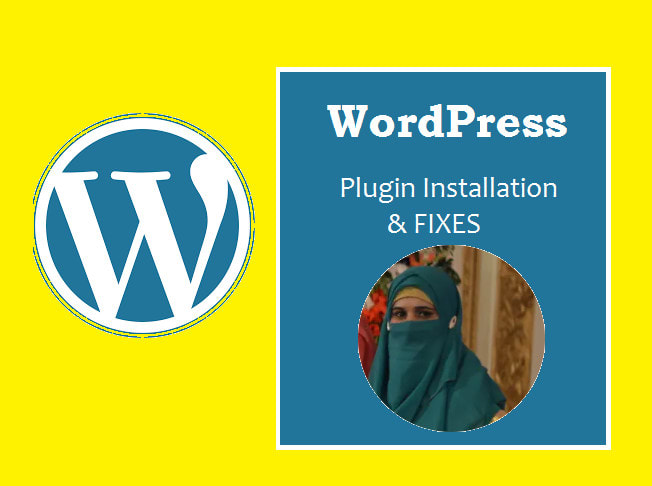 fix any wp issues, wp  plugin issue wp installation