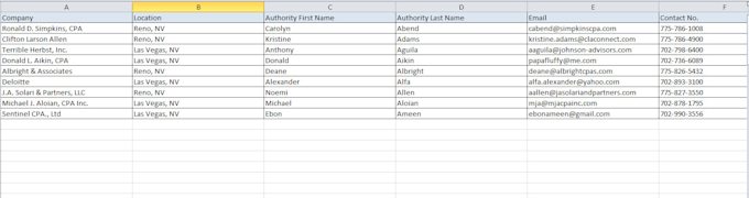 cpa, certified public accountant email list