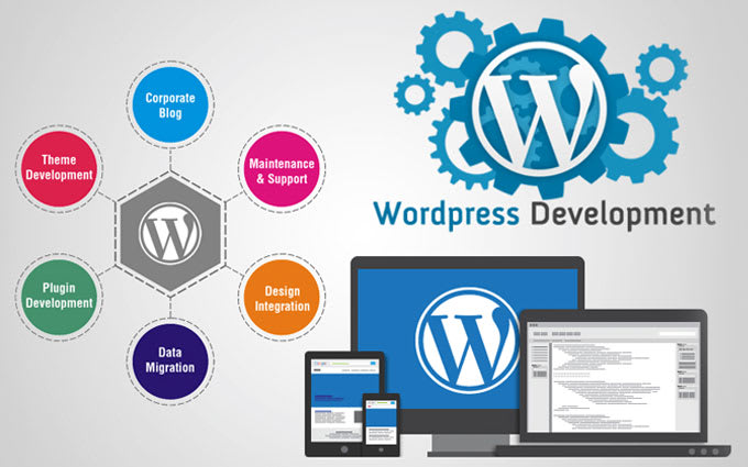 fix any wordpress issue