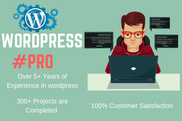 fix, customize and set up your wordpress site