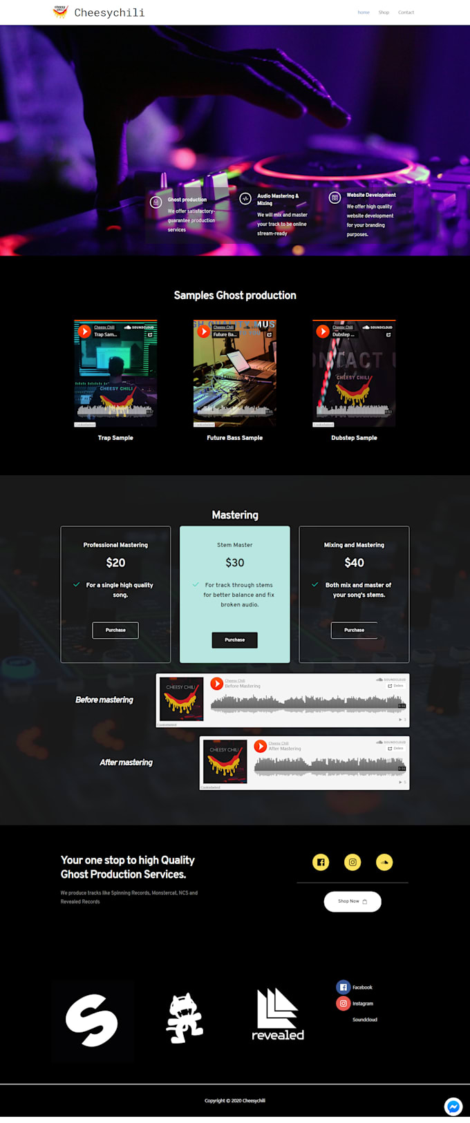 make you a wordpress website with or without e commerce