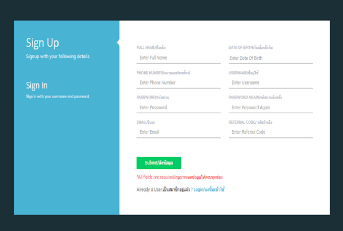 be your developer for html css javascript website