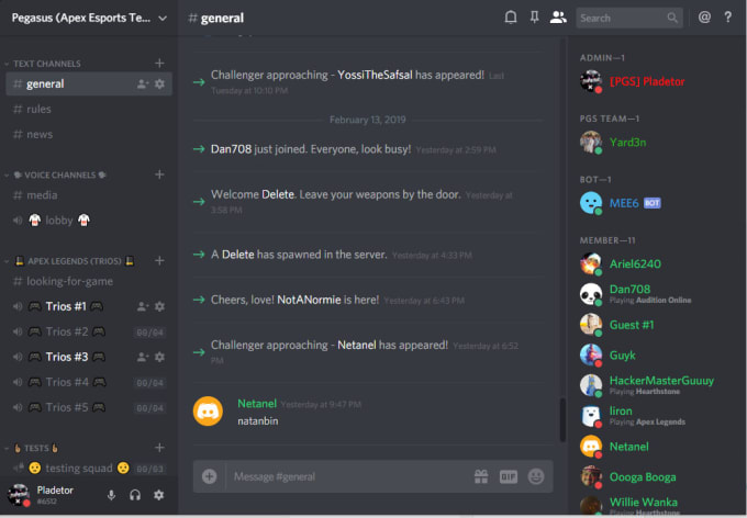 Make A Professional Discord Server For You By Pladetor