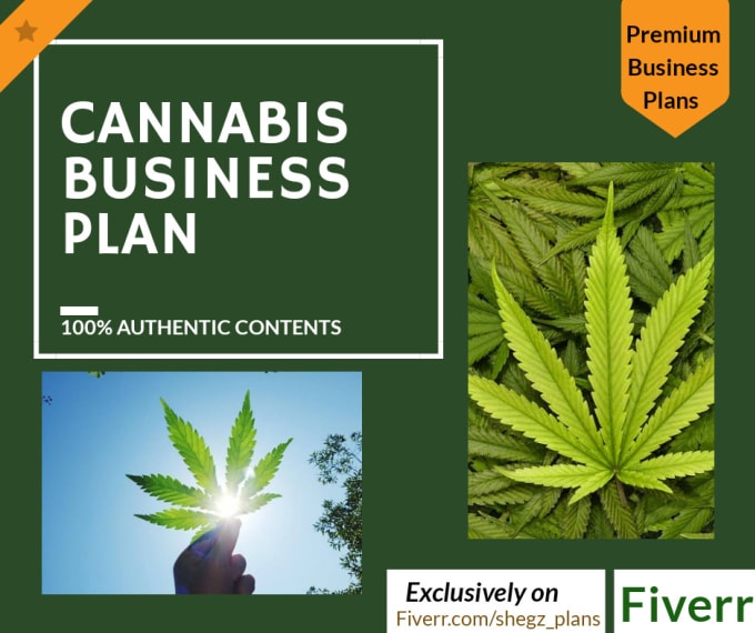 Write your cannabis or marijuana business plans by Shegz_plans