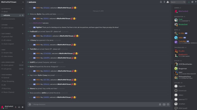 Set You Up A Professional Discord For You By Blakeliner945