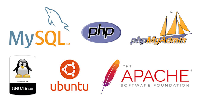 setup apache or nginx server on your linux vps
