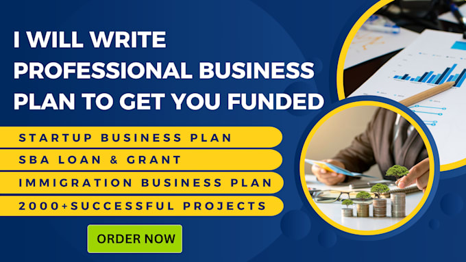 write a professional business plan to get you funded