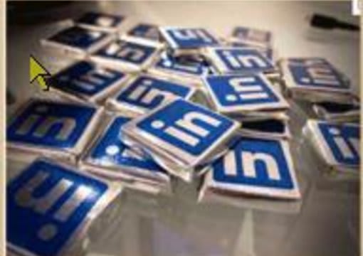 critique your Linked In professional profile