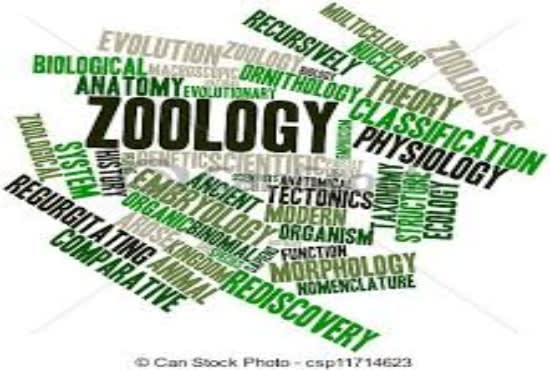 making research articles, presentations, proofreadings