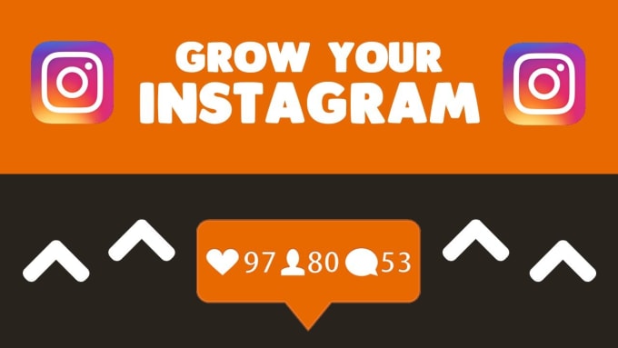 Professionally Grow And Manage Your Instagram Page By Darenmcleod