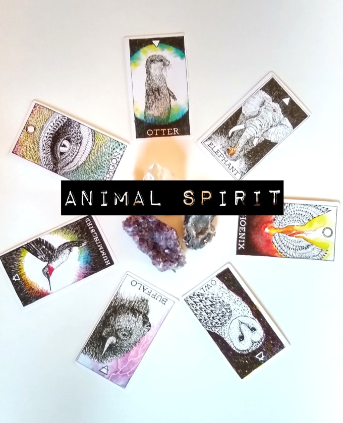 Do your tarot reading of animal cards, unknown by Marina_haven Fiverr