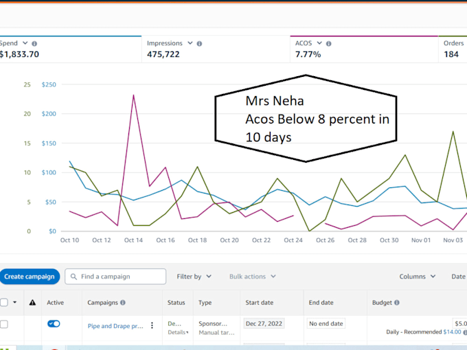 setup amazon PPC campaign and amazon fba ppc management