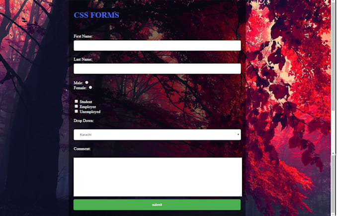 Do website design and development using html css javascrip by Moizasif ...