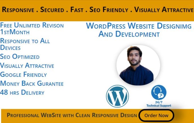 develop stunning wordpress website