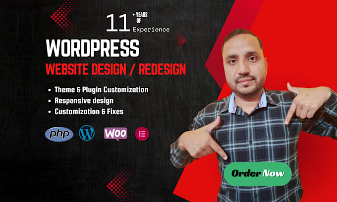 design, redesign, and develop a professional wordpress website
