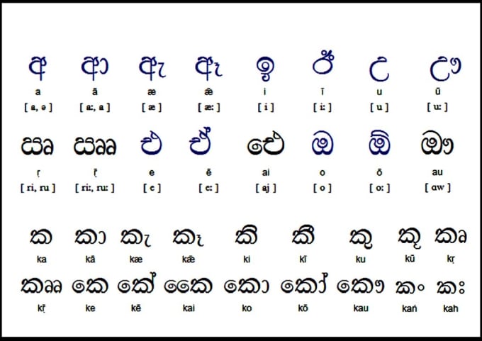 Translate From English To Sinhala And Vice Versa By Ravinduudugampo Fiverr