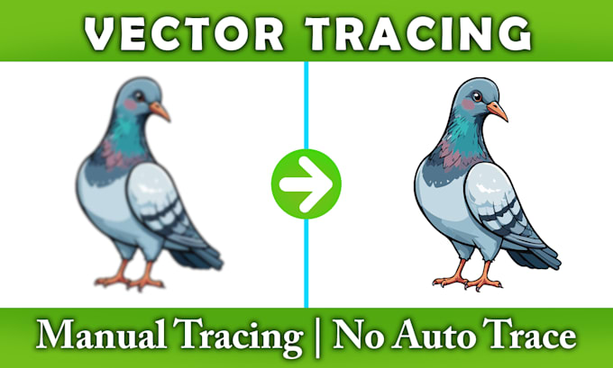 do vector tracing, vectorize logo, redraw, recreate in adobe illustrator