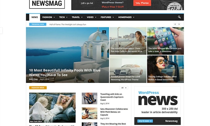 create or customize blog or newspaper website for you