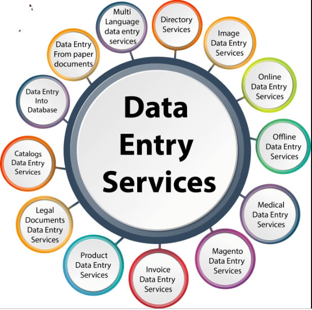 provide you data entry services as a virtual assistant