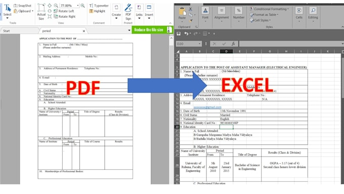 Convert Pdf Job Application To Editable Excel Or Word File By Rathnasiri Fiverr