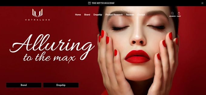 build you the best shopify store, site