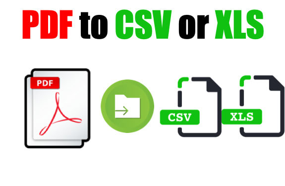 Convert a pdf table to csv or spreadsheet by Trevorw01 | Fiverr