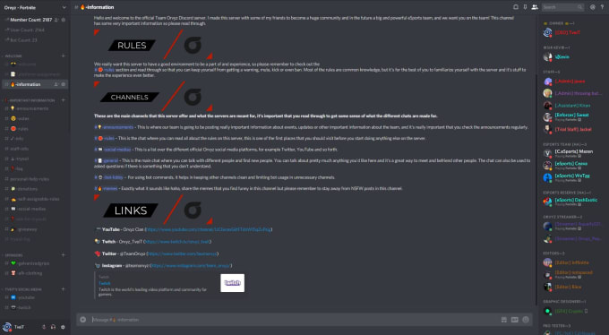 Make you a professional looking discord server by Orvyz